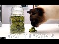 Healthy Cat Treats