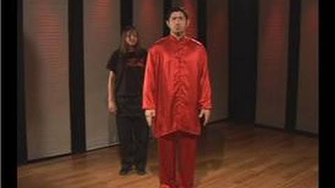 Kung Fu : Tan Tui Right Back Fist Transition