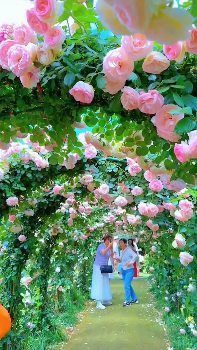 Man basiya || Your name || Pawan Pravasi #inspiration #trending