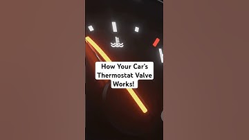 How Your Car