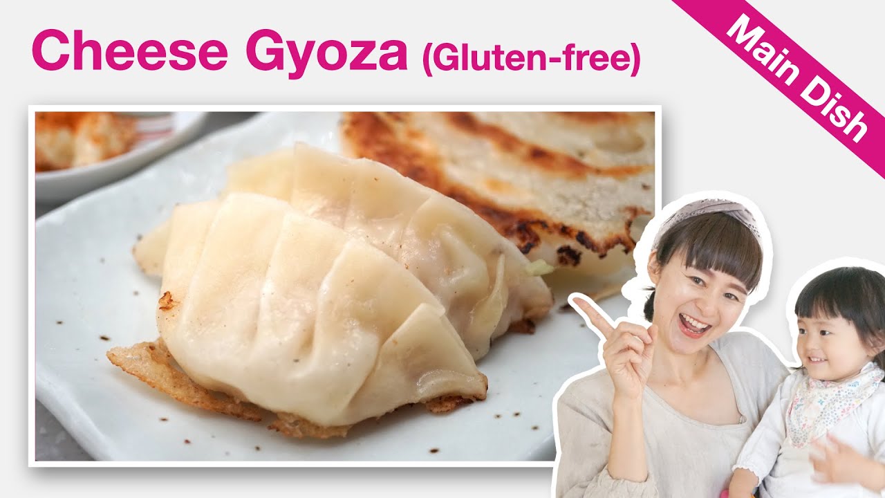 How To Make Cheese Gyoza with Chicken (Recipe)   Gluten-free Gyoza Pastry   YUCa