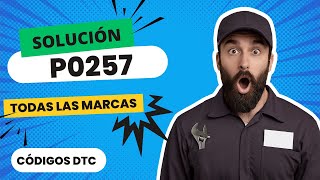 📛 DTC P0257: What It Means and SOLUTION【Updated 2025】📛