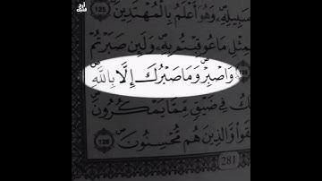 تلاوة هادئة ❤اكتب شئ تؤجر عليه 🤎💦