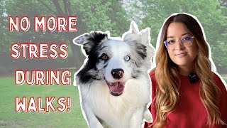 5 Reactive Dog HACKS To Make Life Easier (For BOTH Of You)!