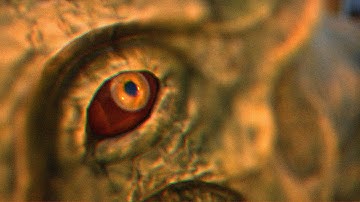 IS THE LYSTROSAURUS OVERPOWERED? - (Ark Survival Evolved Cinematic)