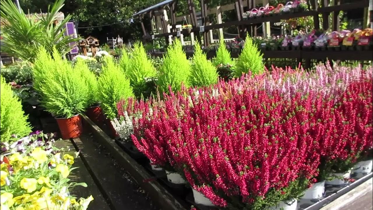 part-2-plant-nursery-tour-plant-nursery-near-me-alexandra-palace