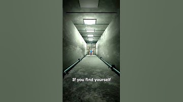 Trapped In A Room With Closing Walls 😱 - Melon Playground #memes #funny