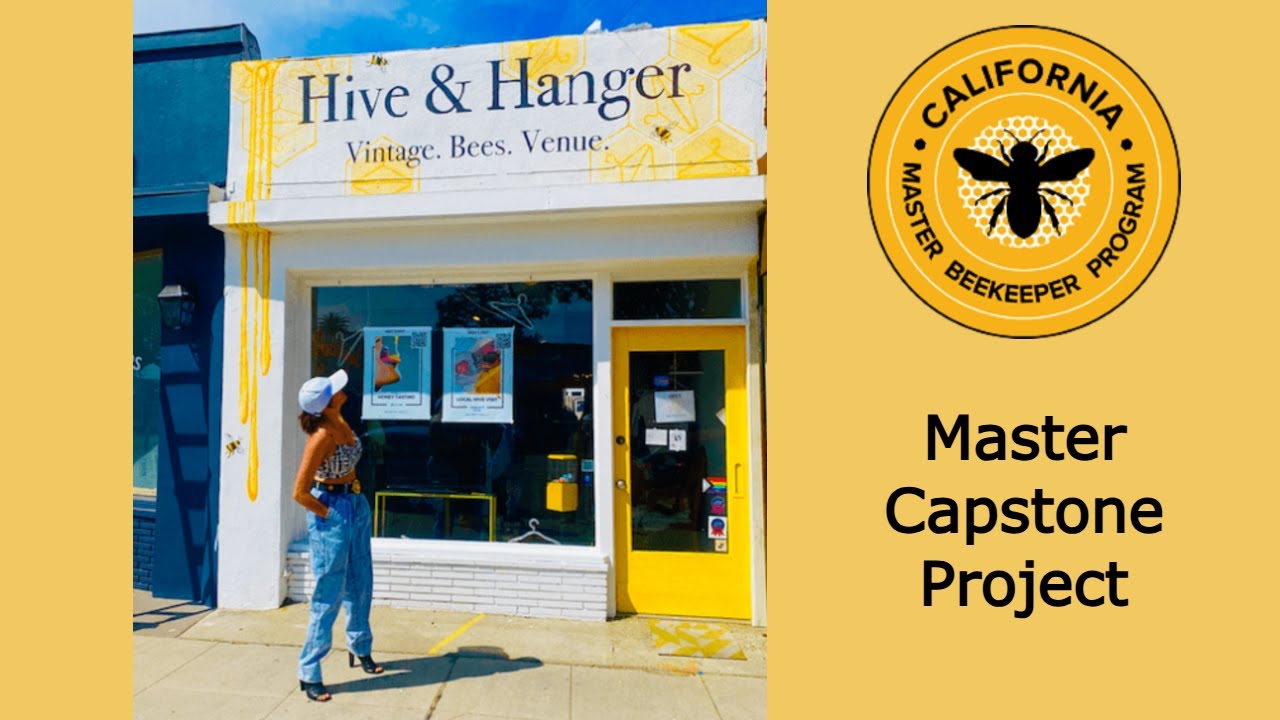 Reimagining Retail as a Bee Education Exhibit Master Capstone