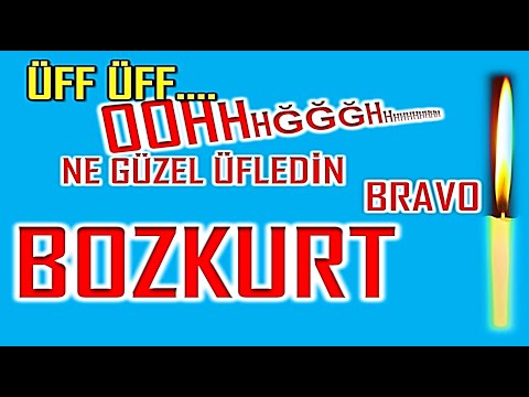 İyi ki Doğdun Bozkurt İsme Özel Komik Doğum Günü Şarkısı