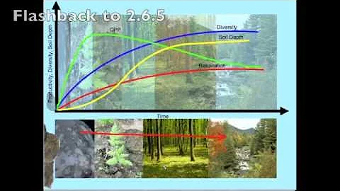4.1.5 Ecosystem Stability, Diversity, Succession and Habitat-Exploring the Connections.