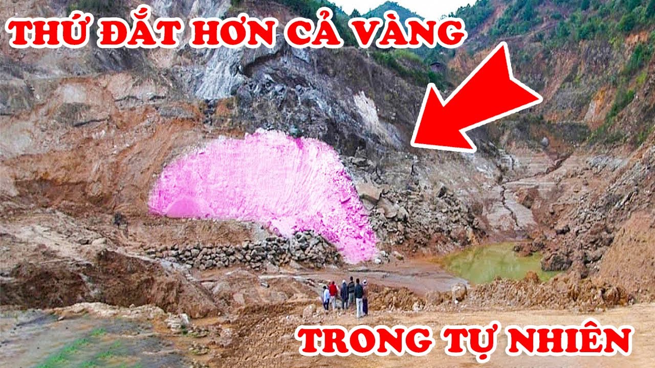 12 Thứ Trong Tự Nhiên Đắt Hơn Cả Vàng – Nhặt Được 1 Thứ Có Thể Đổi Đời Chỉ Sau 1 Đêm