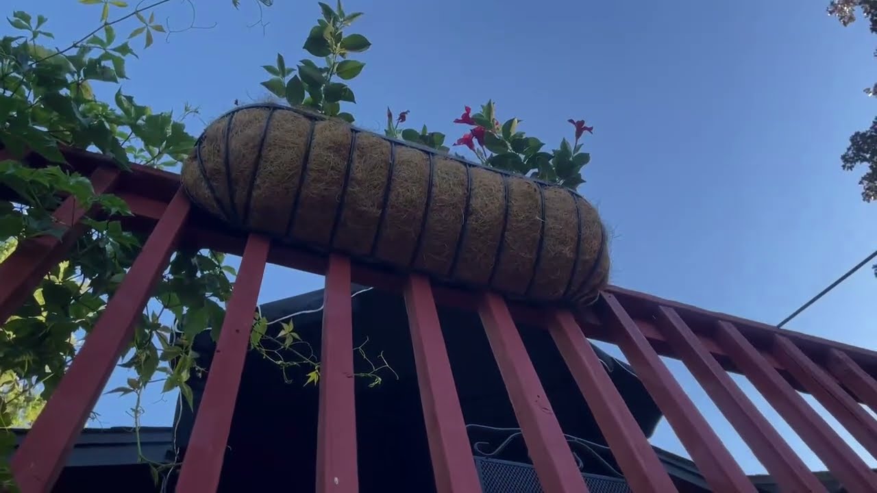 Harmiden 4 Pcs 30“ Window Box Deck Railing Planter with Coco Liner Review