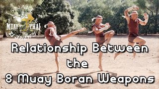 Relationship Between the 8 Muay Boran Weapons - by Kru Snake - Snake Muay Thai