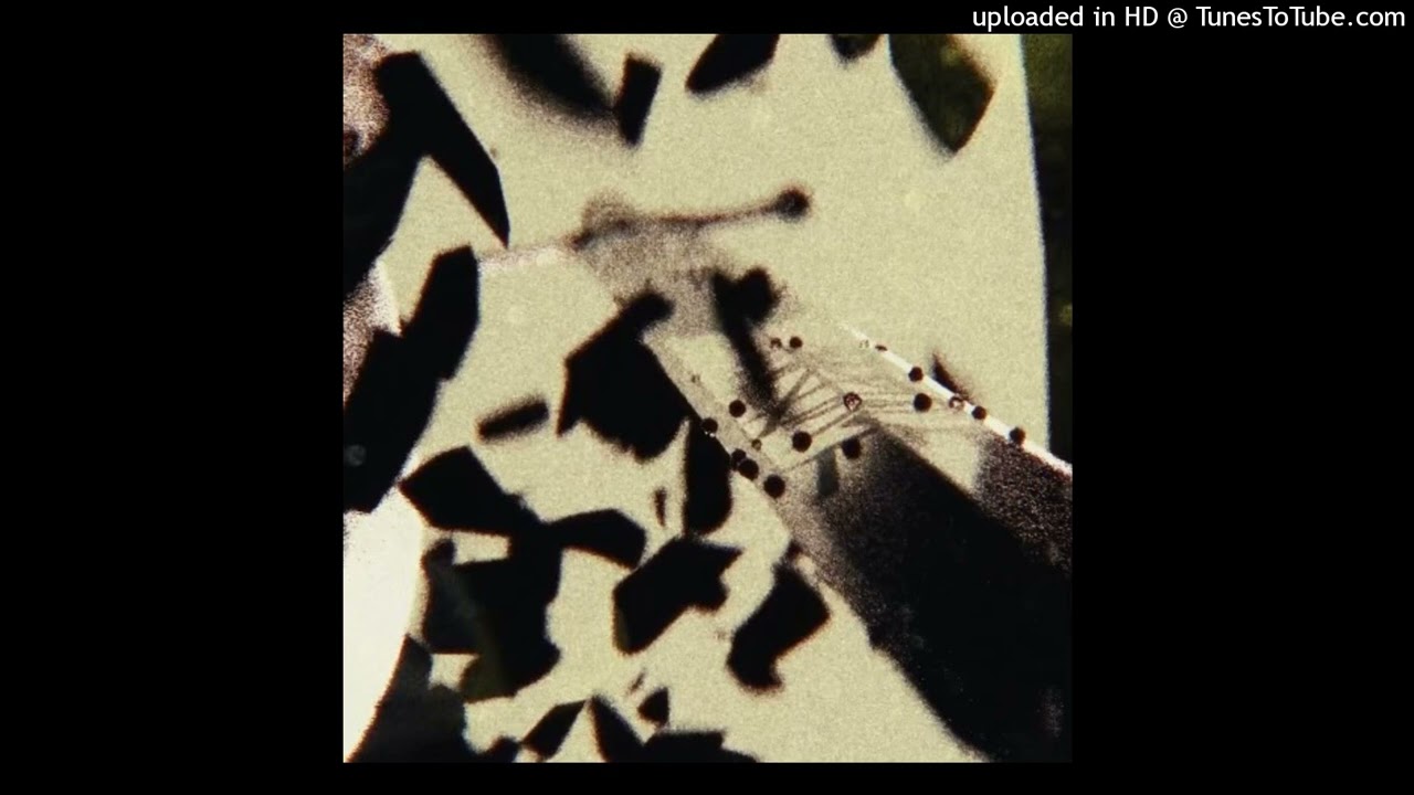 VARS!TY DRUMKIT [200+ sounds in the style of LOVEMUSIC, Darkspin, Alientrap, etc…]