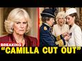 BREAKING: Princess Anne Transfers Royal Military Honors to Catherine STRIPS Camilla's Titles