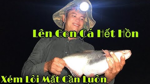 Săn Hu Go Ban Đêm Mùa Nước Nổi - Sông Nước Tây Ninh