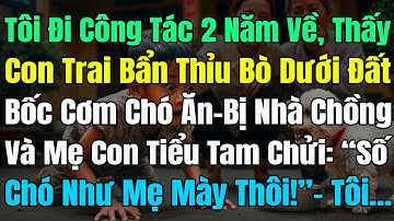 Đi Công Tác 2N Về, Thấy Con Trai Bò Dưới Đất Bốc Cơm Chó Ăn, Nhà Ck & Tiểu Tam Chửi: “Số Chó Như Mẹ!
