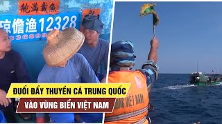 Đẩy đuổi tàu cá Trung Quốc ra khỏi vùng biển Việt Nam