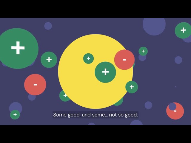 Discover how physical literacy shapes the way we move, think, feel, and connect — for life.