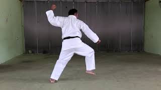 Guru Karate