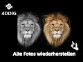 Alte Fotos wie ein Profi mit nur einem Klick wiederherstellen!