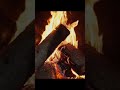👉 This Sound Feels Like Heaven 🔥 #relax #burningfireplace #şömine #livewallpaper #cozynights