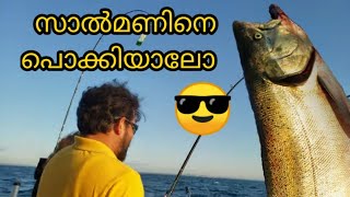 ഒരു ചെറിയ മീൻ പിടുത്തം | KING SALMON HUNT