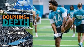 Dolphins in Depth Who has been Dolphins top training camp performer