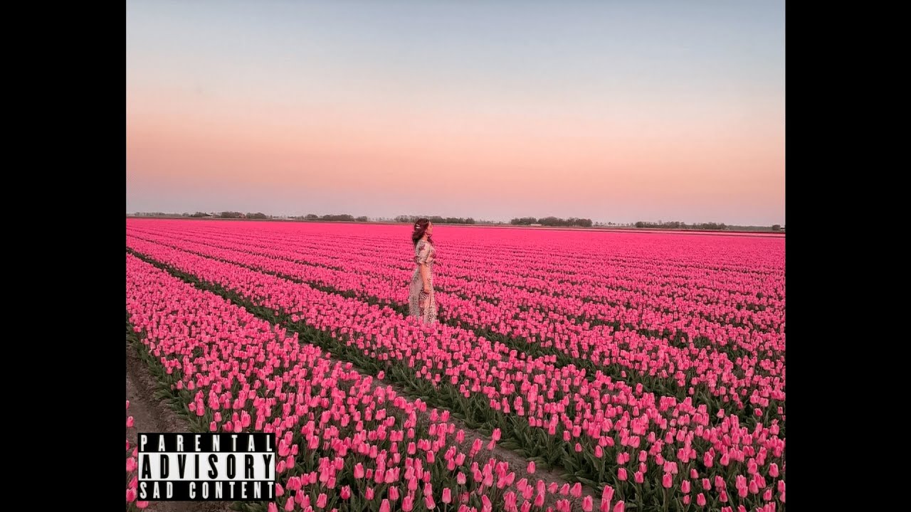 [FREE] Sad Acoustic Guitar Post Malone Pop Type Beat No Drums - "Flowers"