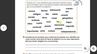Forma 4: 74-80