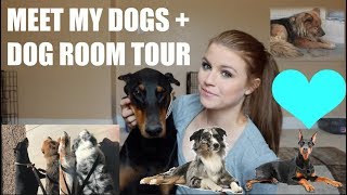 MEET ALL MY DOGS + DOG ROOM TOUR