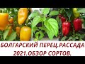 Выращиваем Болгарский перец. Рассада 2021