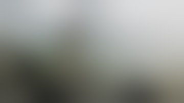 Fails of the Month! March 2017 - Funny Video 2017 || FailArmy