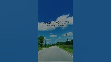 تلاوه خاشعه #قران_كريم #quran #allah #اكسبلور #islam #السعودية #فلسطين #المغرب #الجزائر #مصر #العراق