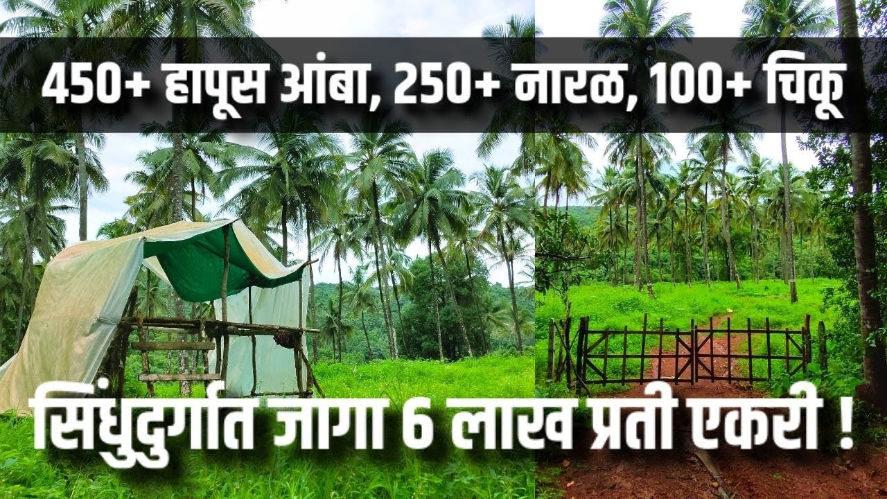 कोकणात पूर्ण आंबा नारळ बाग आणि माती प्लॉट फक्त ६ लाख एकर !