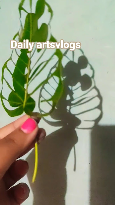 Micky mouse art using leaf cutting #mickeymouse #leafcutting #viralvideo