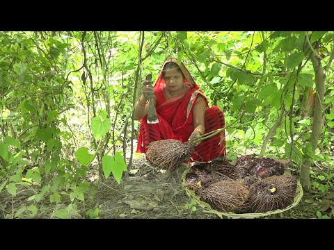 वीडियो: मशरूम जुड़वां हैं जंगल के खतरनाक उपहार