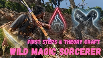 WILDMAGIC SORCERER - DOTMAXXING