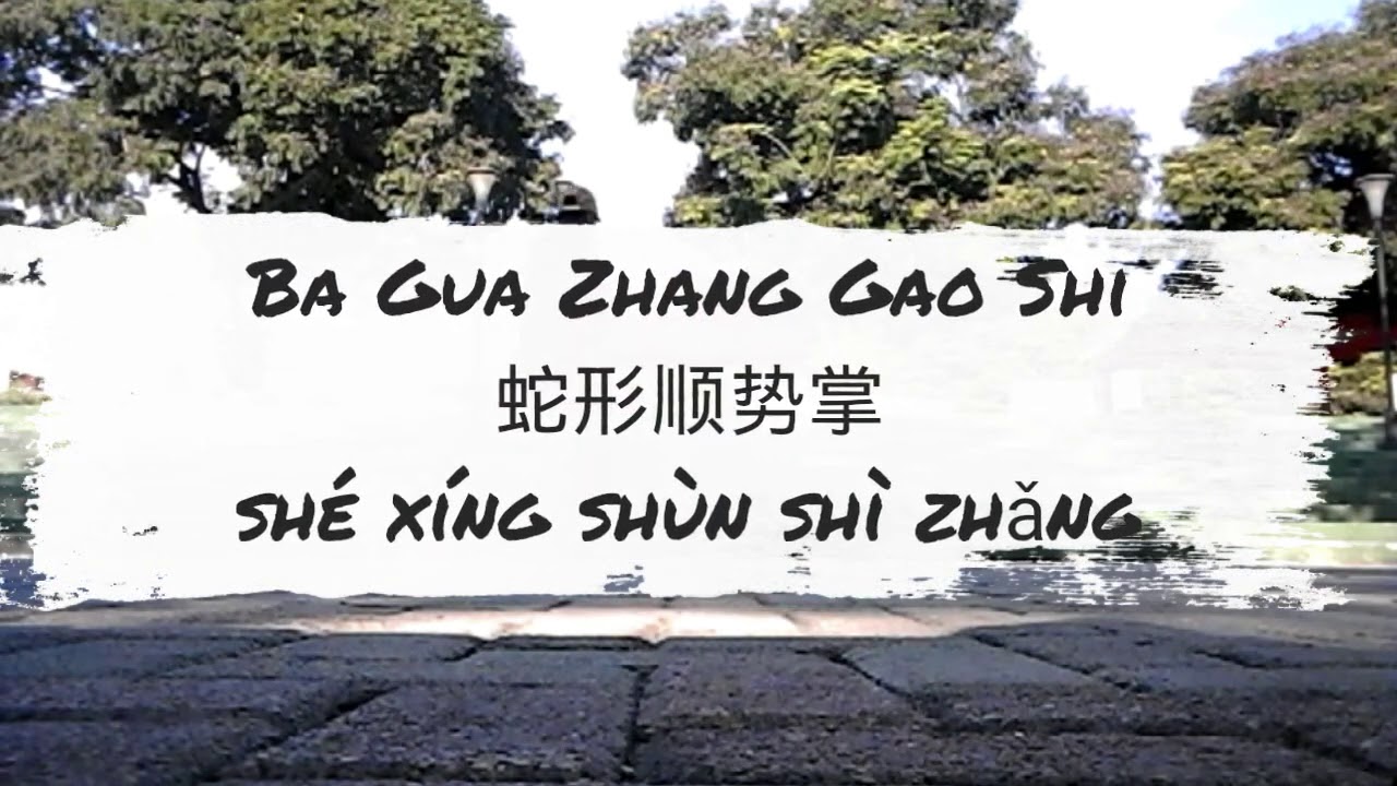 Gao Yi Sheng Ba Gua Zhang (1-. 蛇形顺势掌 shé xíng shùnshì zhǎng : Paume souple du serpent)