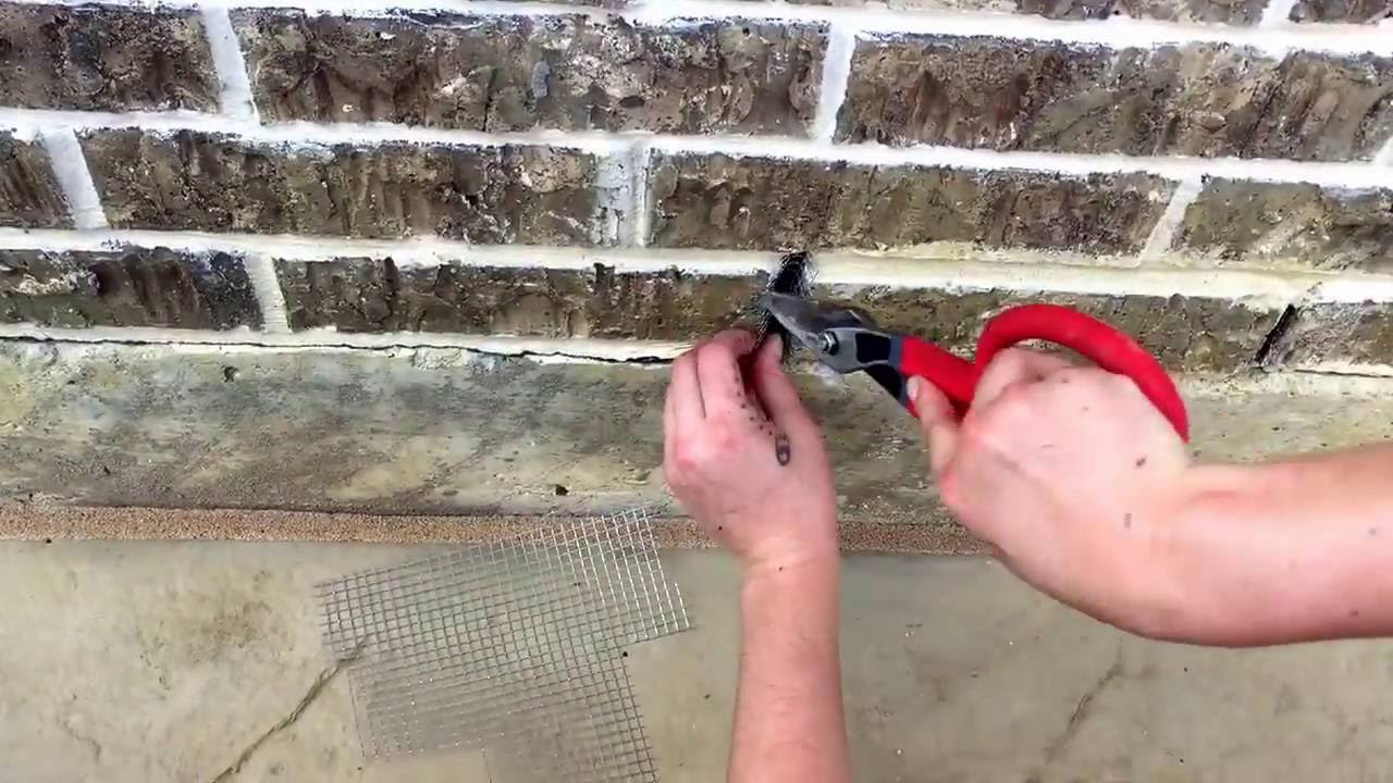 Rodent proofing a weep hole