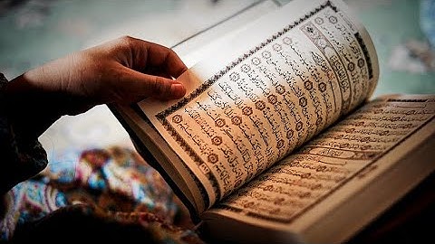 صوت هادئ جداً يريح القلب ،سورة المنافقون كاملة بصوت جميل@abdalrahman_salem  نور القرآن nor_elQoran