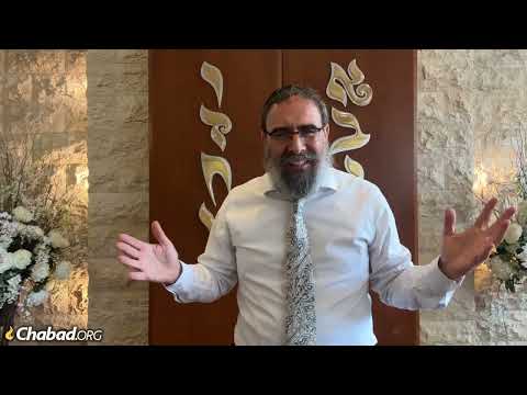Put Up Your Guard Parsha Shoftim With Rabbi Shalom Paltiel