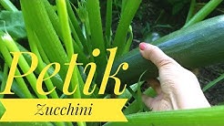 MASAK SAYUR ASEM ZUCCHINI? - Durasi: 12.26. MASAK SAYUR ASEM ZUCCHINI? - Durasi: 12.26.