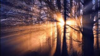 Marconi Union Weightless Airstream Electra DJ Shah (Chillout Mix) Enya Watermark Coldplay,