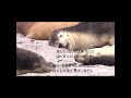 あなたの唇/カラオケ/竹島宏