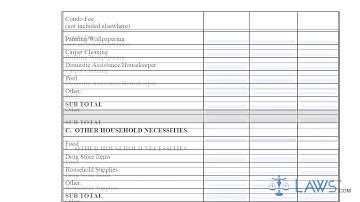 Form DR31 Financial Statement