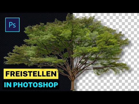 Hintergrund entfernen in Photoshop Tutorial 2024 | Ausschneiden, Bäume freistellen in Photoshop