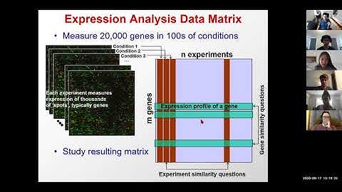 6.047/6.878 Lecture 6 - Expression analysis Clustering Classification (Fall 2020)