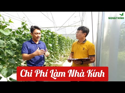 Video: Nhà Kính 