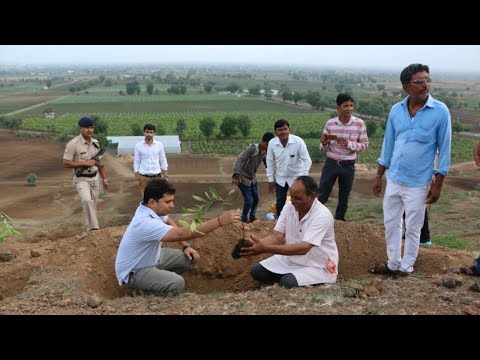 Video: Hvor findes kinartræet i Indien?